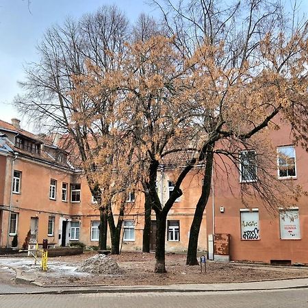 Apartamento Cozy Studio In Heart Of Old Town Vilna Exterior foto